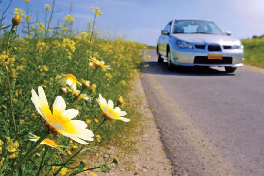 Así afectará la primavera a tu coche